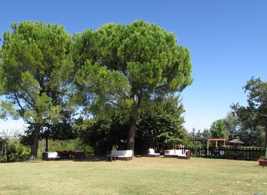 Agriturismo Ca'De'Gatti Фаенца Екстериор снимка