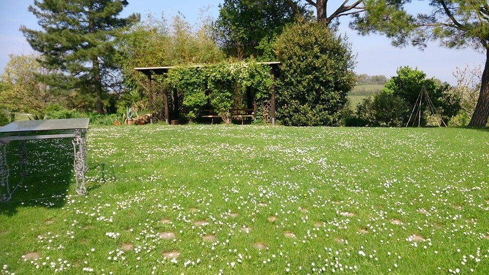 Agriturismo Ca'De'Gatti Фаенца Екстериор снимка