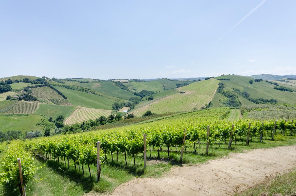 Agriturismo Ca'De'Gatti Фаенца Екстериор снимка